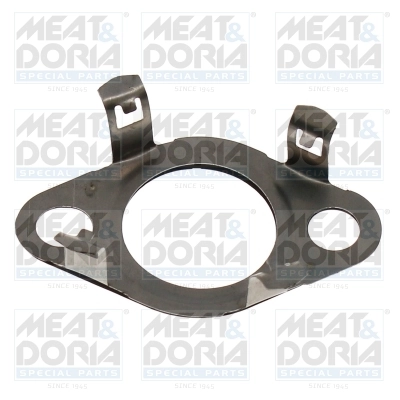 Gasket, EGR valve